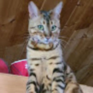 Meet your Posher, Annie